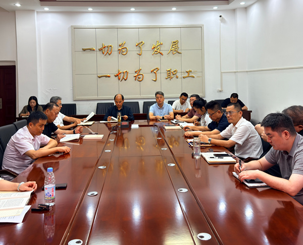公司召开党委理论学习中心组学习会